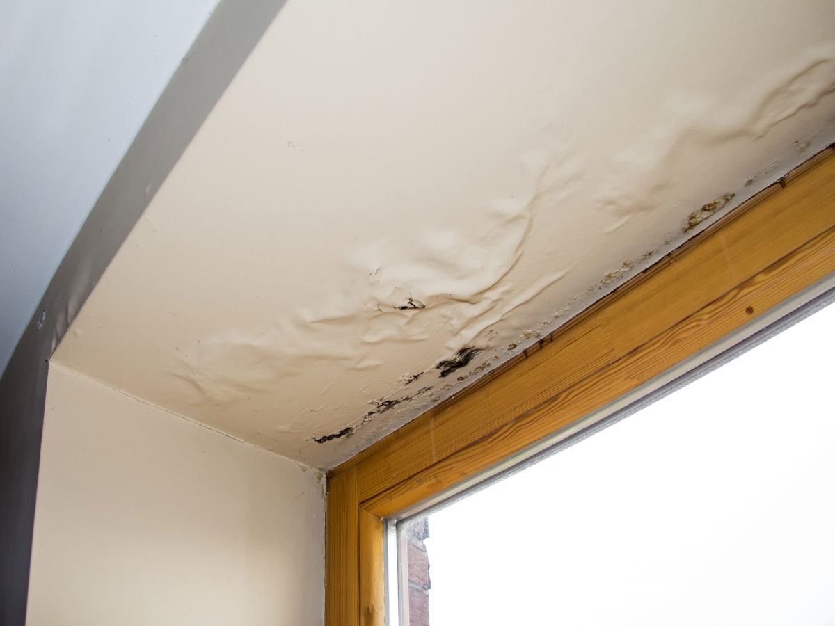 Humidity & Trapped-Moisture Roof Repair in West Palm Beach