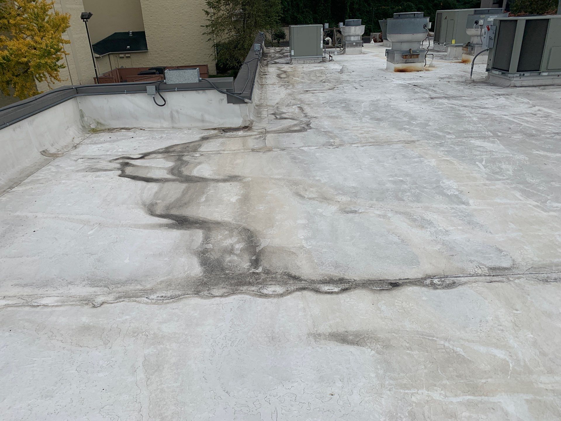 Hurricane Roof Damage Repair in West Palm Beach